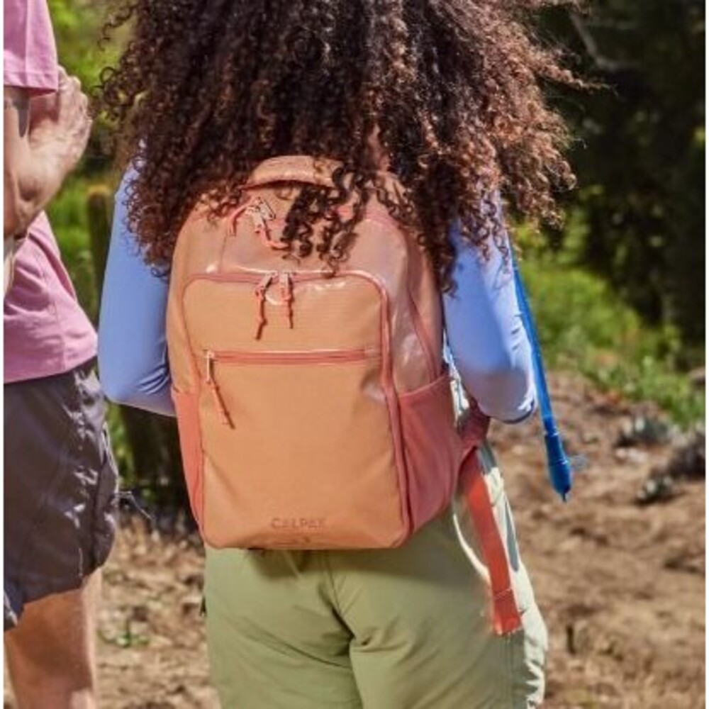 Calpak Terra Laptop Backpack in Canyon NWT